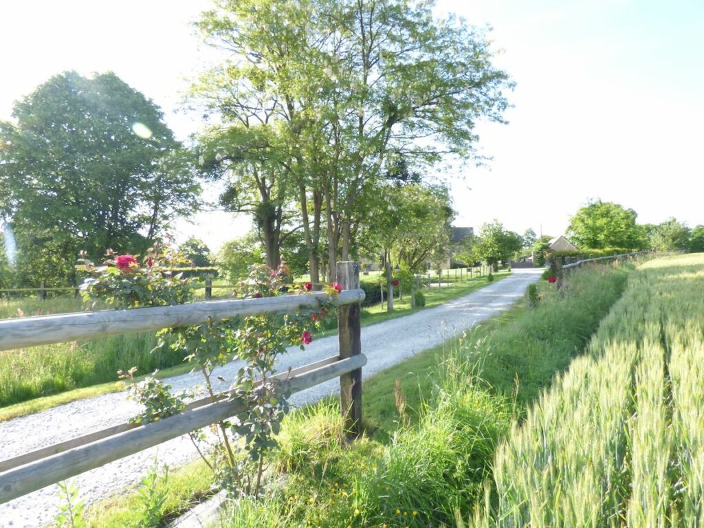 Manoir de la Haute Pilais - Chantepie